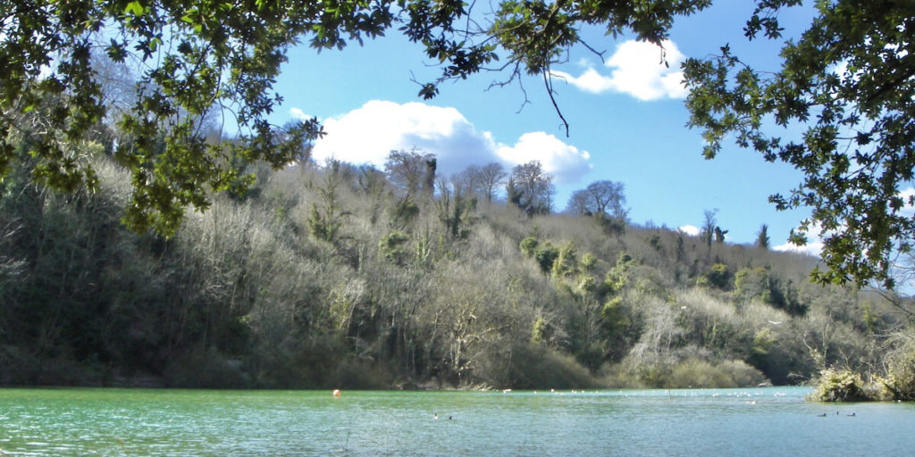 swanbourne lake and tree line